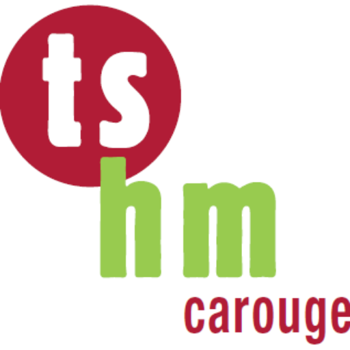 2 cropped-logo_tshm